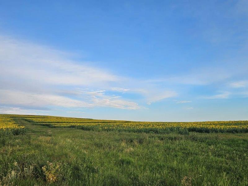 8 Bedroom Property for Sale in Bethlehem Rural Free State